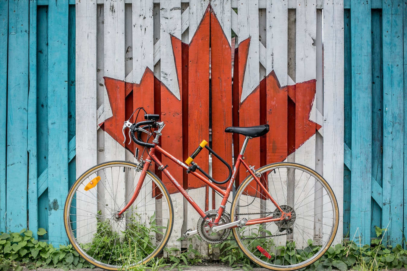 cloud accounting in canada
